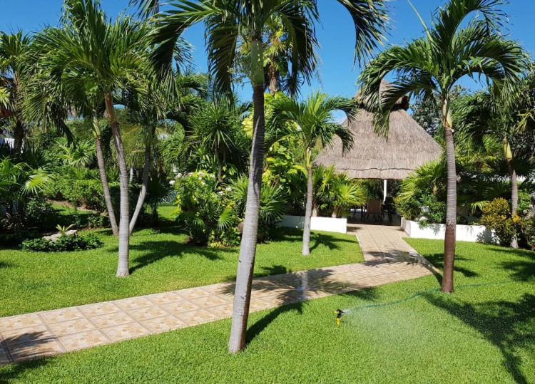 Large House - Walking To Beach - 10 Guests! Cancún Zewnętrze zdjęcie